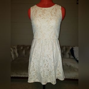 Lovely skater dress